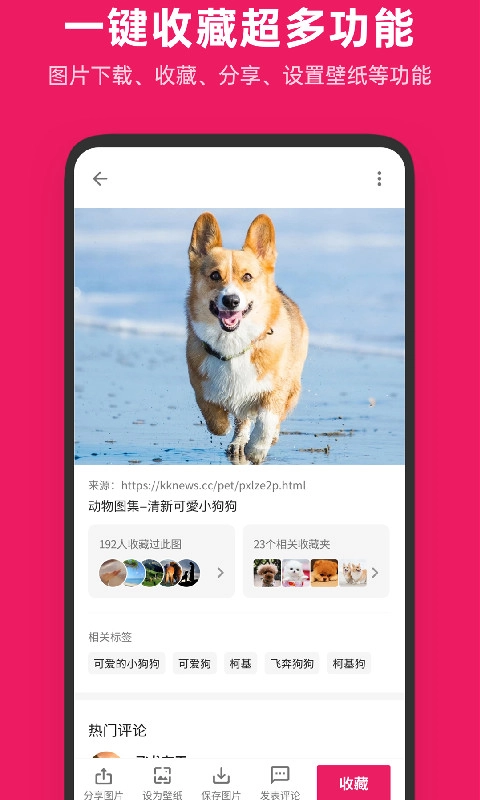图片搜搜-图库管家