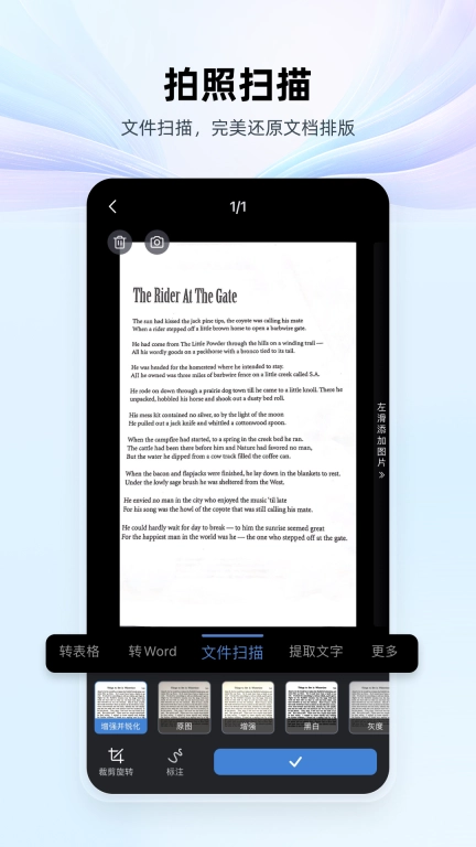 WPS Office-DeepSeekR1满血版
