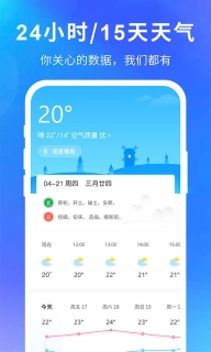 大字版