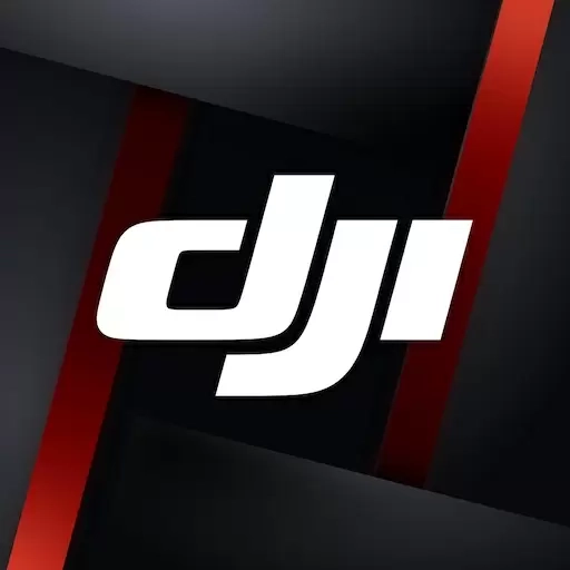 DJI Ronin