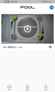 FOWL-盯逗