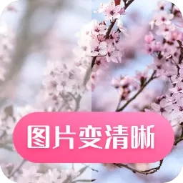 图片变清晰-照片修复