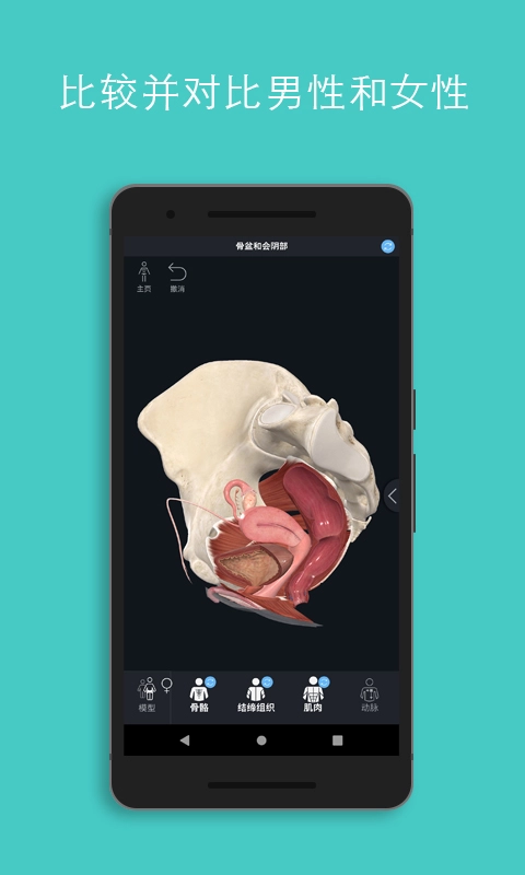 Complete Anatomy