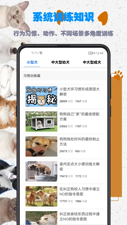 训狗教程-狗狗热门动作训练