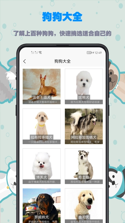 训狗教程-狗狗热门动作训练