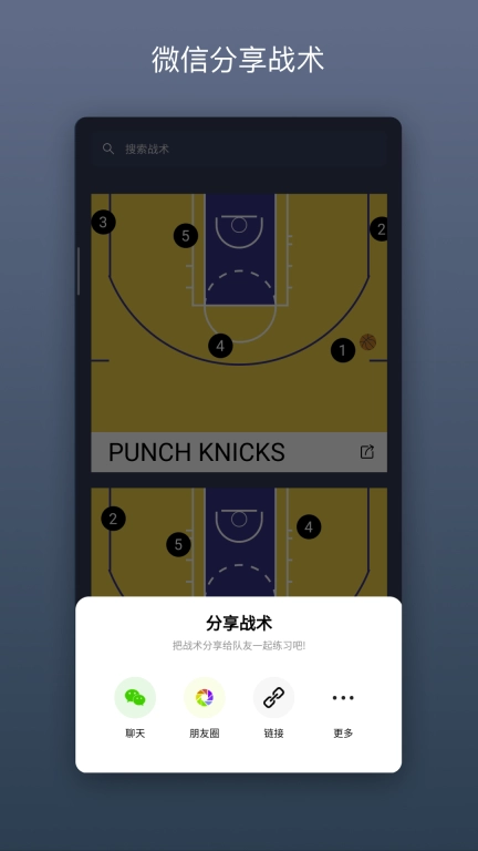 战篮-篮球战术专家