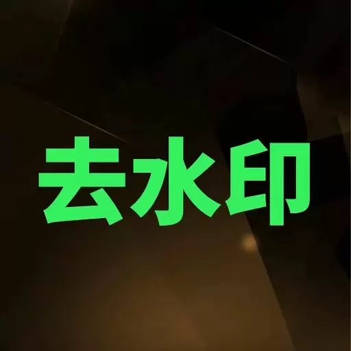去水印大师