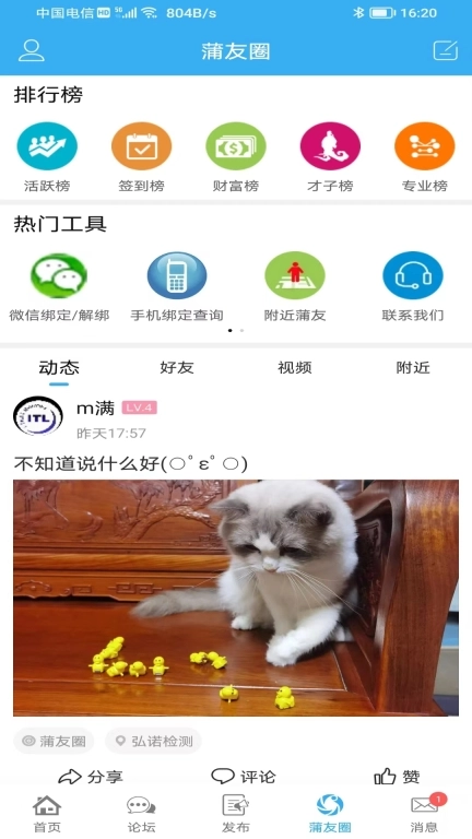 蒲公英-制药技术传播者