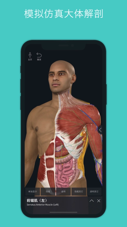 Complete Anatomy