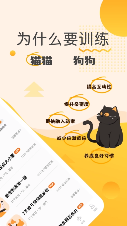 宠物记