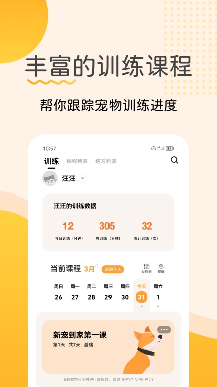 宠物记