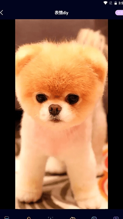 我的狗头包