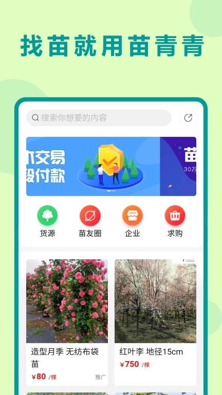 苗青青-园林苗木交易平台