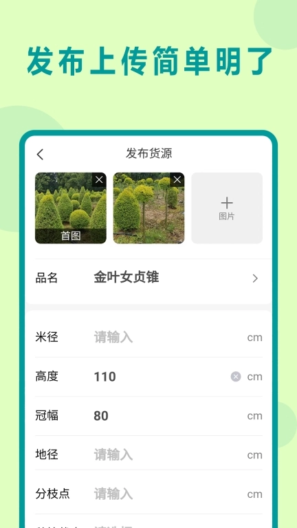 苗青青-园林苗木交易平台