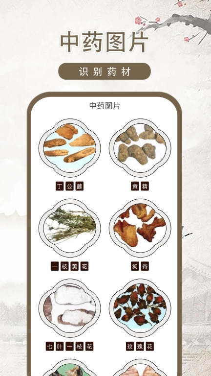 中医古籍-中医宝典
