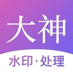 大神水印-视频照片水印处理