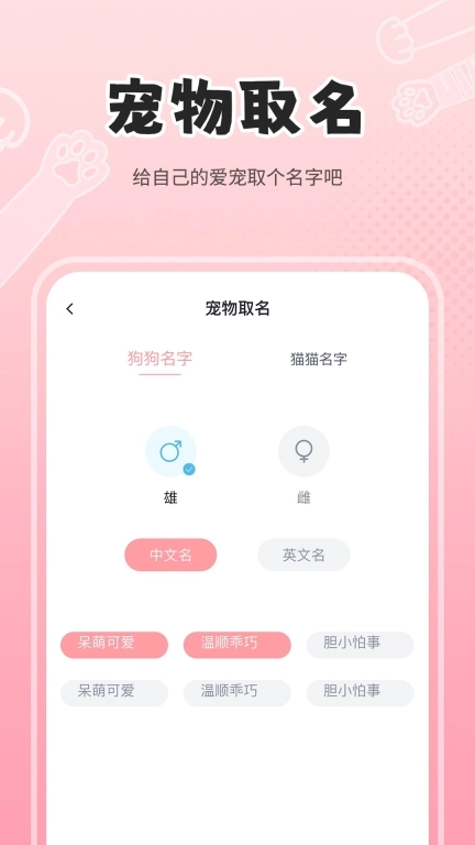 人狗猫交流器