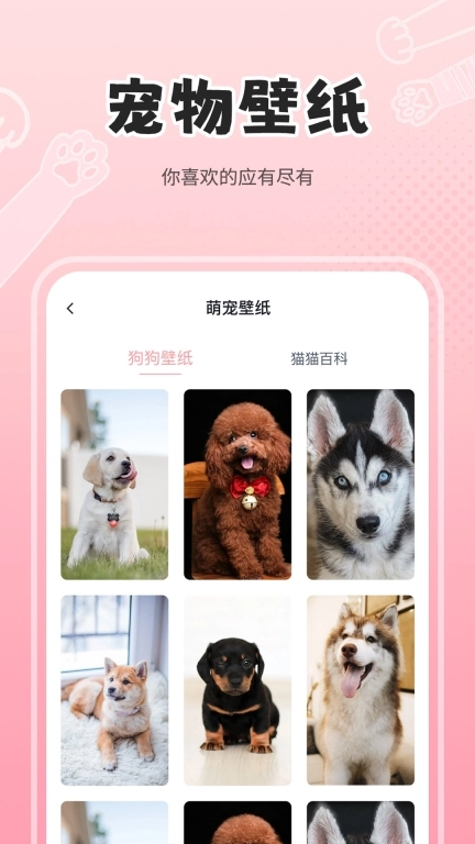 人狗猫交流器