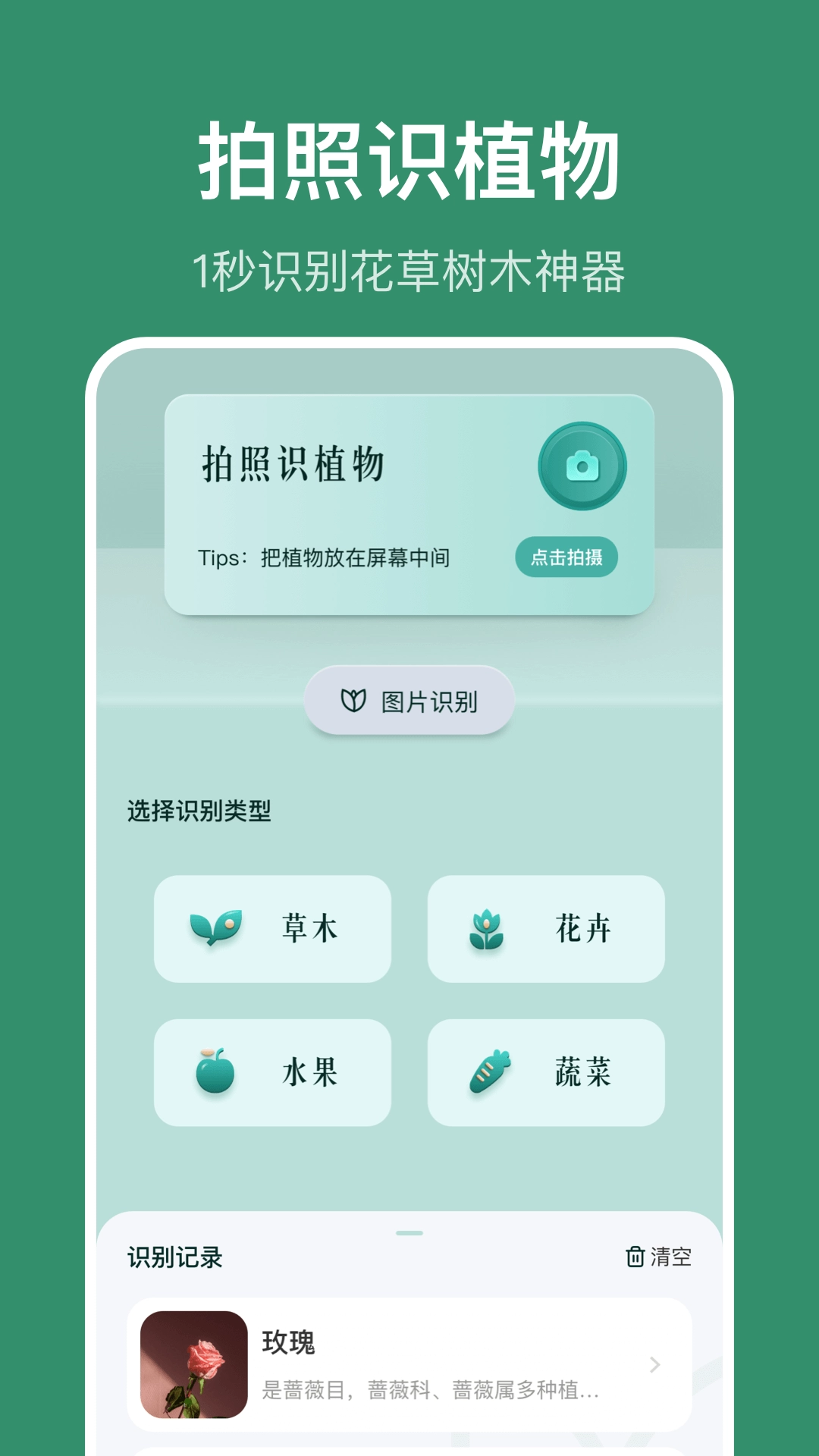 识花草-识植物