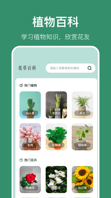 识花草-识植物