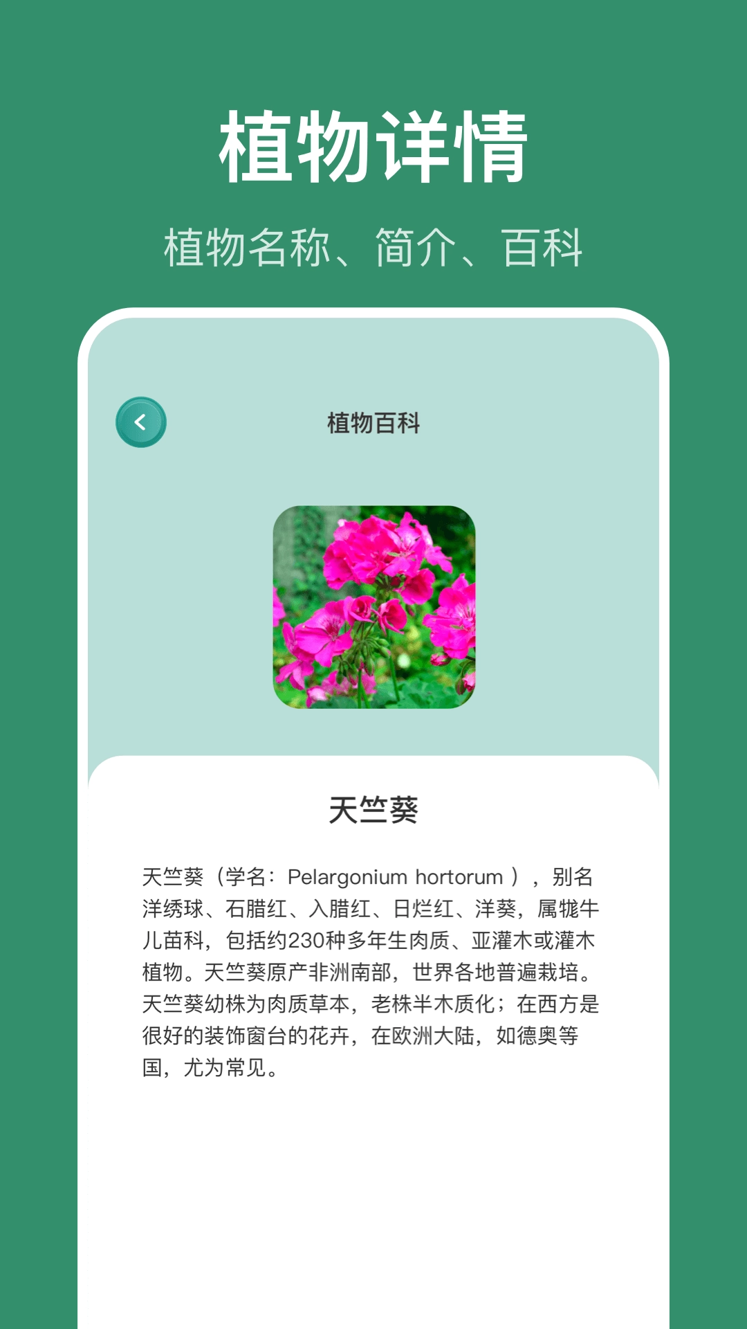 识花草-识植物