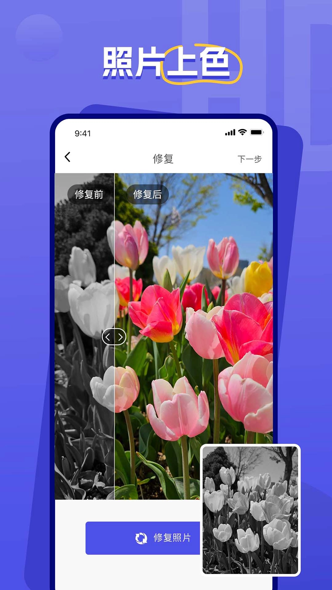 画质修复-贝格