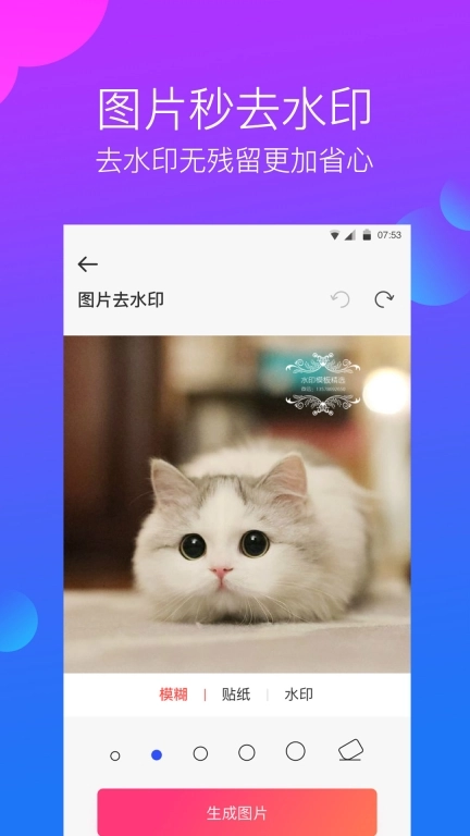 水印工作室-视频去水印