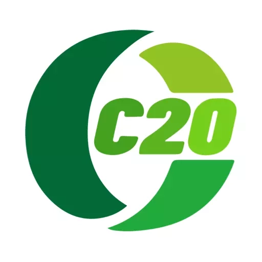 C20快车司机端