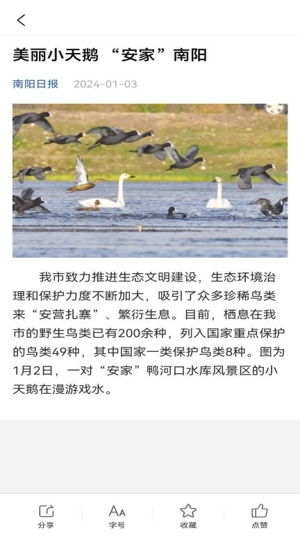南阳政务