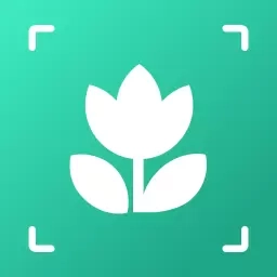 万物识图