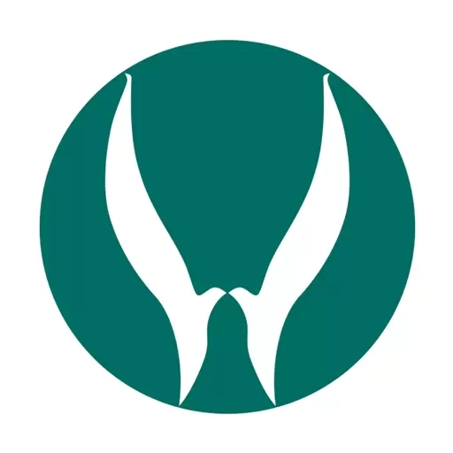 汇安健康
