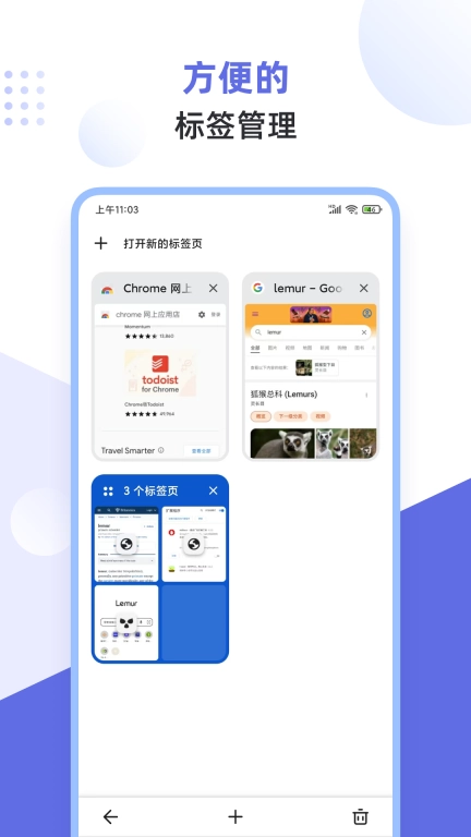 狐猴浏览器-支持扩展的浏览器