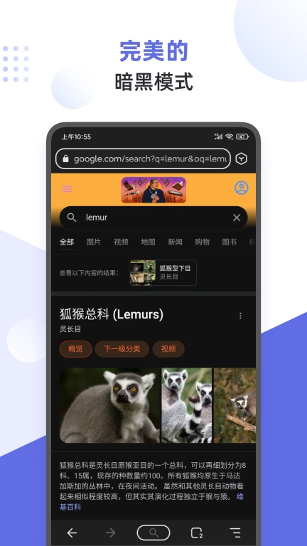 狐猴浏览器-支持扩展的浏览器