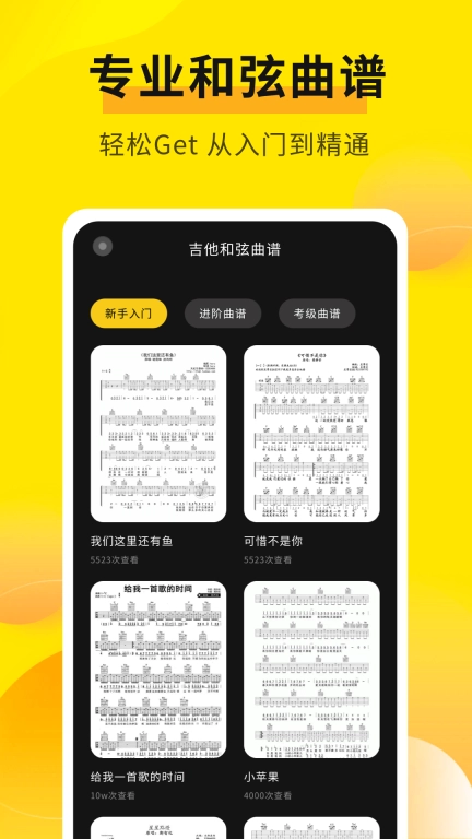 拾音器-专业调音器