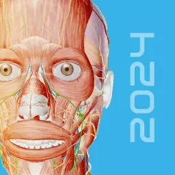人体解剖 3d