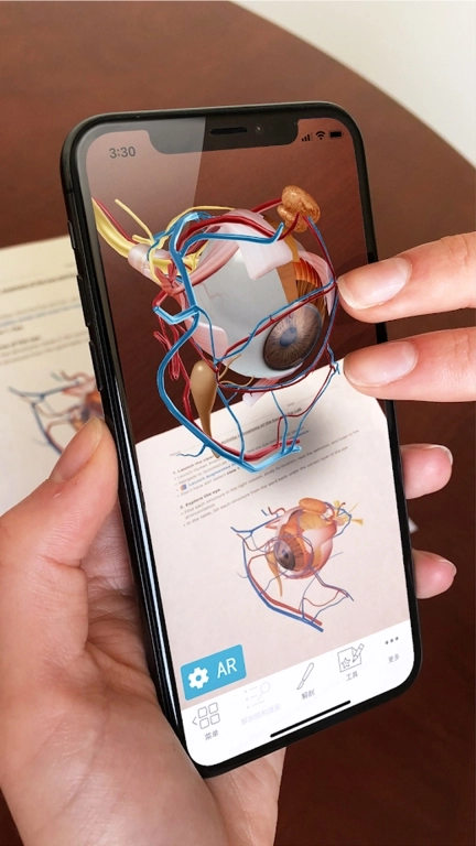 人体解剖 3d