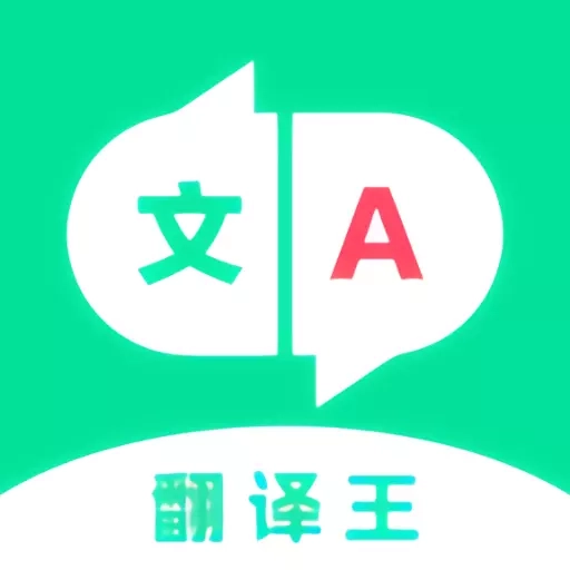 翻译王