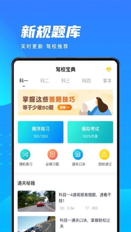 驾考大师