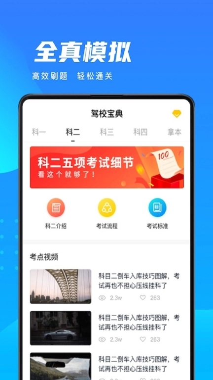 驾考大师