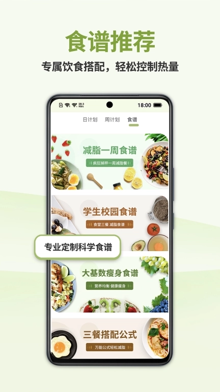 懒人轻断食-不花钱不节食减肥