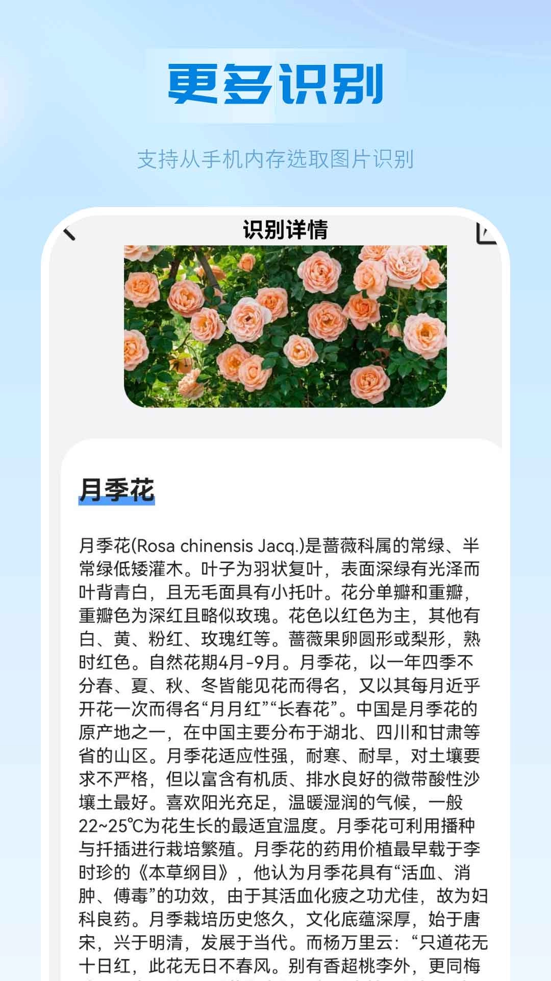万能扫描识别王