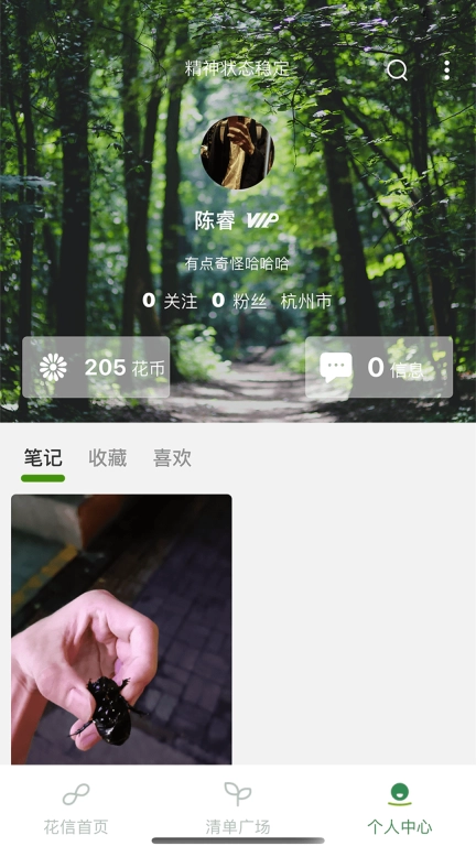 花信-elvesay