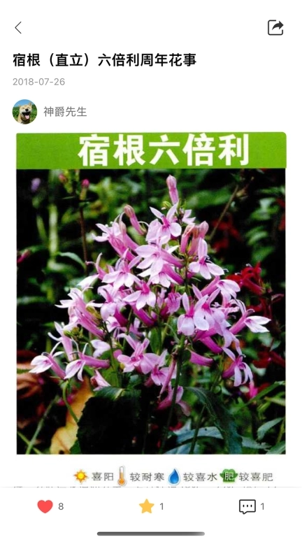 花信-elvesay