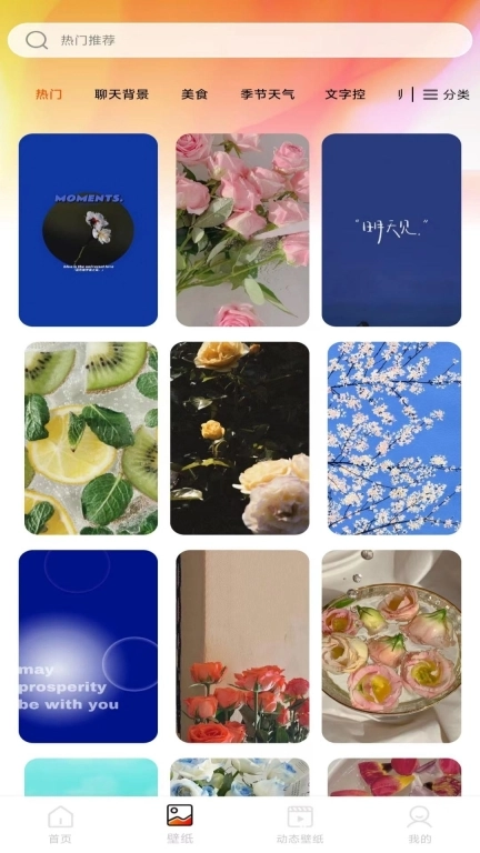 免费动态壁纸-壁纸换不停