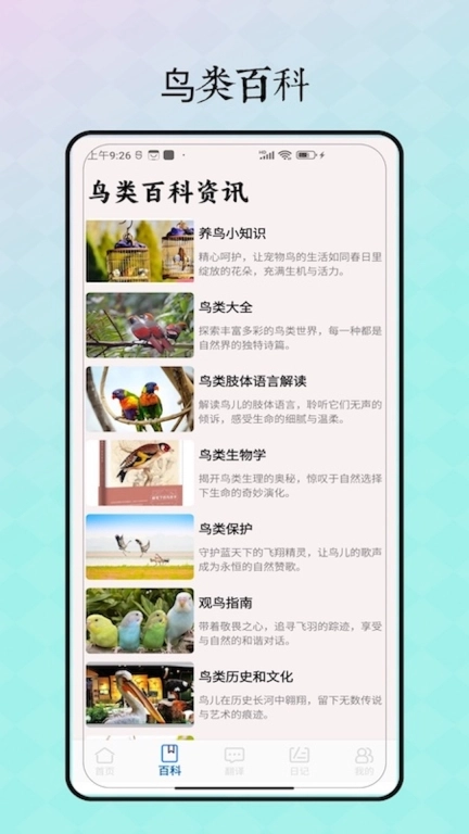 鸟语翻译