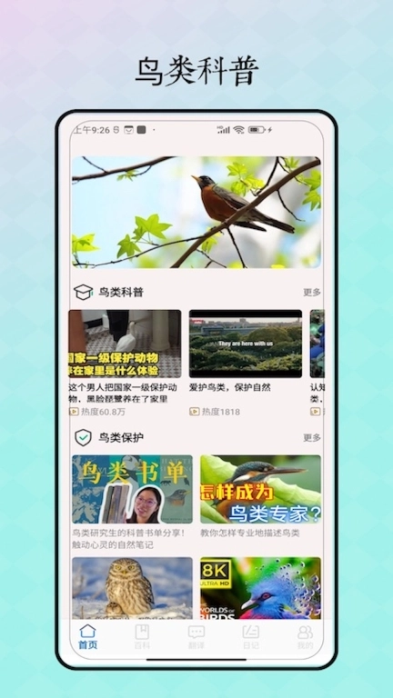 鸟语翻译