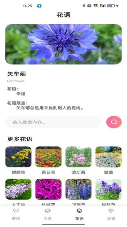 傲娇壁纸