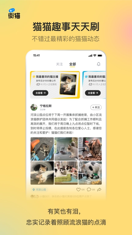 街猫
