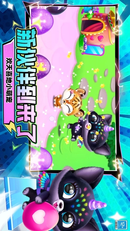 宠物救援