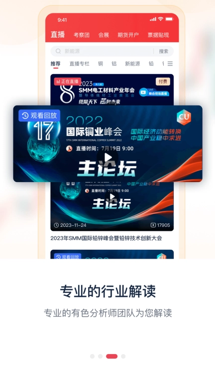 掌上有色